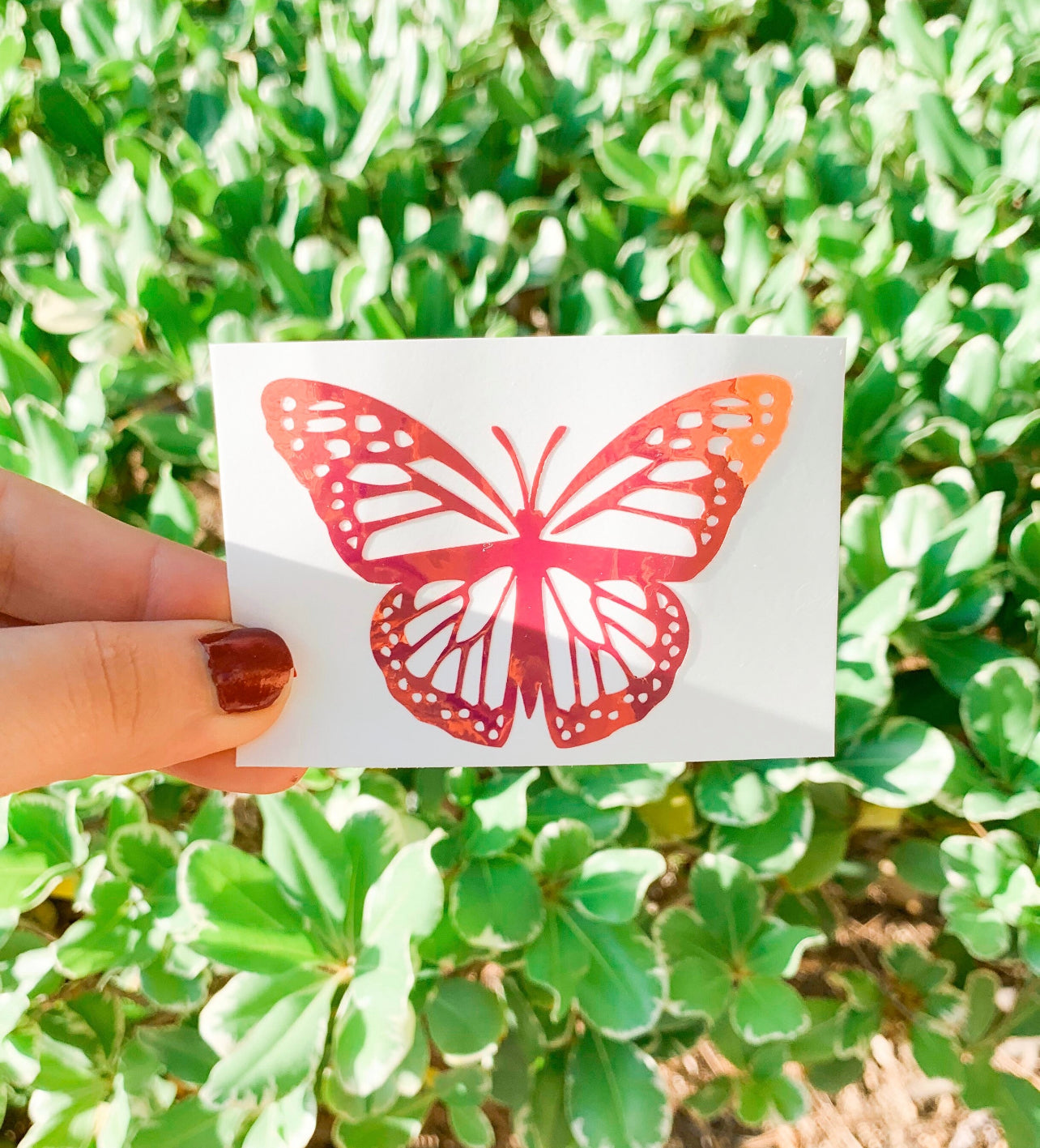 Butterfly Decal Sticker