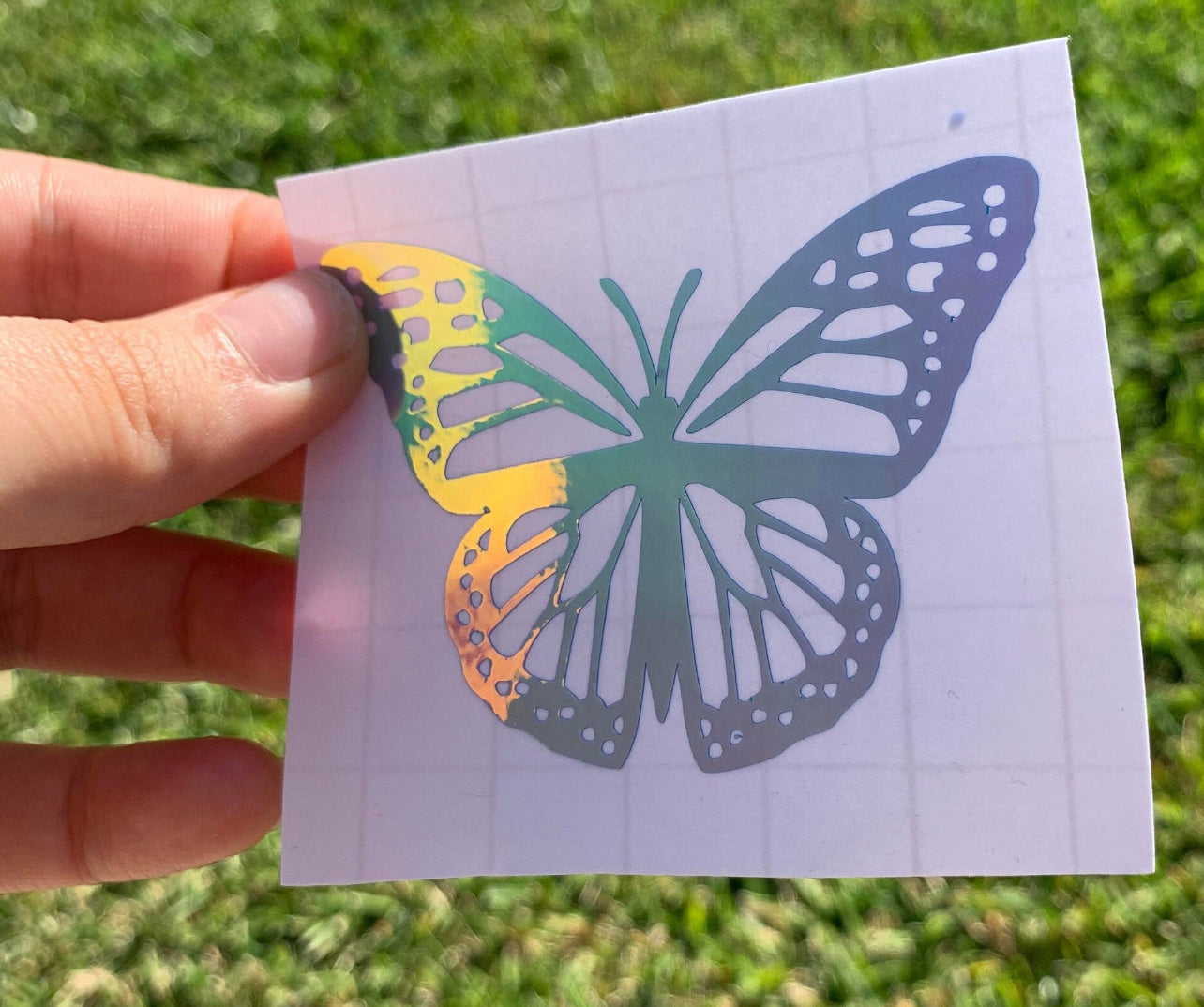 Butterfly Decal Sticker